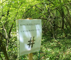 20240420_garcin_trail_22km_091