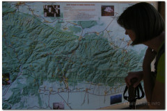 20.05.2012. - Papuk