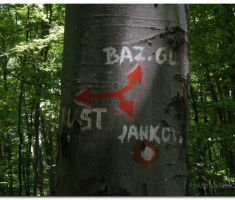 velika_radetina_papuk_00021