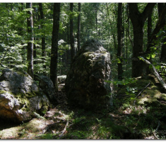 velika_radetina_papuk_00023