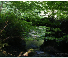 velika_radetina_papuk_00029