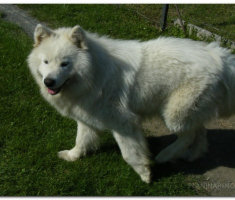 velika_radetina_papuk_00037