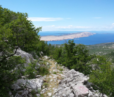 20150620_velebit_ivan_loncaric_025