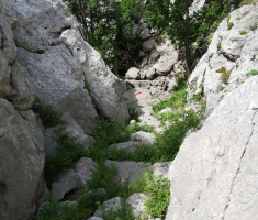 20150620_velebit_ivan_loncaric_026