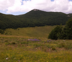 20150620_velebit_ivan_loncaric_049