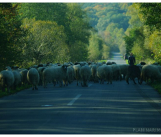 planinarimo_papuk20131020_001