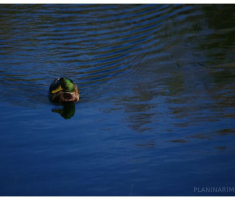 planinarimo_papuk20131020_003