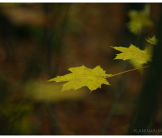planinarimo_papuk20131020_004
