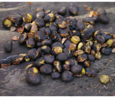 planinarimo_papuk20131020_024
