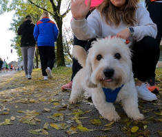 20241020_ljubljanski_maraton_189