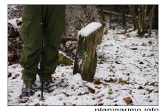 20.12.2008. Papuk