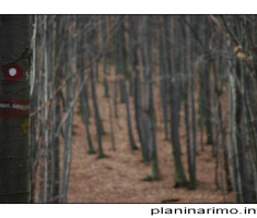 Planinarske markacije