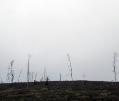 20151220_krndija_002