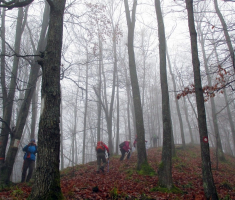 20151220_krndija_018