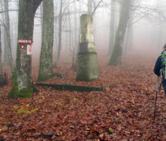 20151220_krndija_028