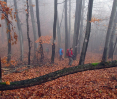20151220_krndija_039