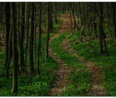 Papuk_220400005
