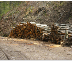 Papuk_220400015