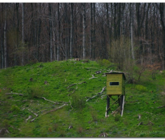 Papuk_220400028