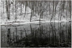 17.03.2013. - Papučki jaglaci