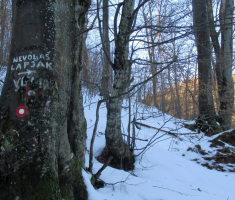 20150104_papuk_004