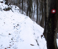 20150104_papuk_006