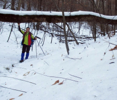 20150104_papuk_008
