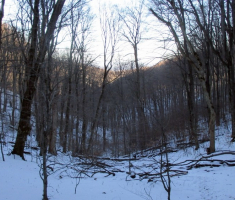 20150104_papuk_014