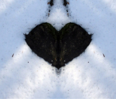 20150104_papuk_016