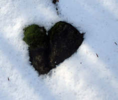 20150104_papuk_018