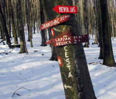 20150104_papuk_020