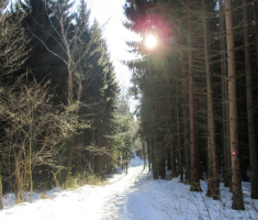 20150104_papuk_021