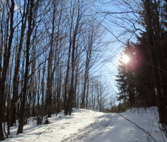 20150104_papuk_024
