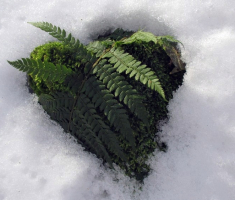 20150104_papuk_026