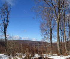 20150104_papuk_031