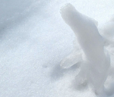 20150104_papuk_033