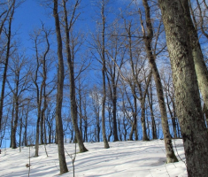 20150104_papuk_035