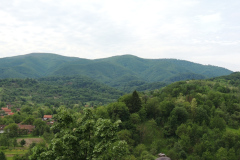 22.05.2014. - Arboretum Lisičine