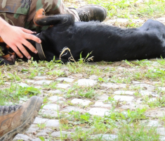 dscn4233