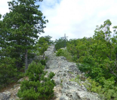 valetntin_zagarar_lapjak_05