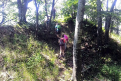 06.07.2014. - Krndija