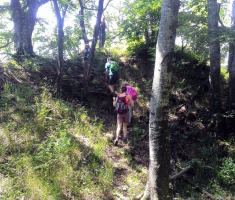 20140706_20