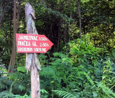 20140713_slatinski_drenovac_ivacka_glava_17