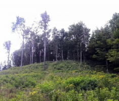 20140713_slatinski_drenovac_ivacka_glava_21