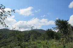 17.08.2014. - Krndija