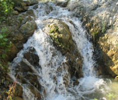 20140817_krndija_004