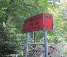 20140817_krndija_008