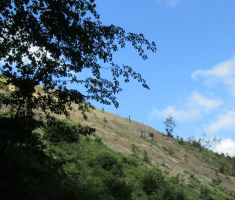 20140817_krndija_014