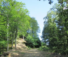 20140817_krndija_015