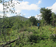 20140817_krndija_016